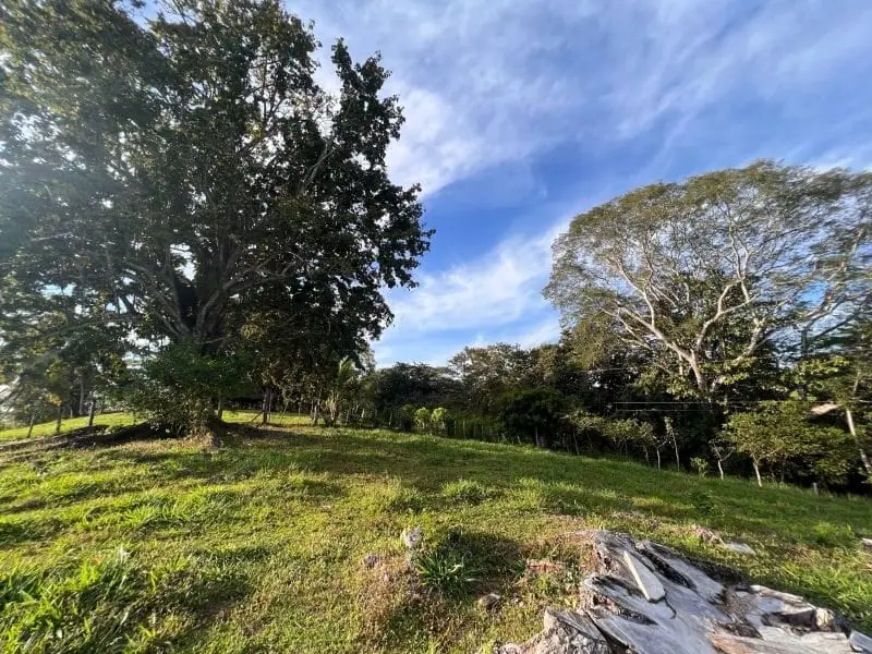 Montezuma Scenic Lots photo 11